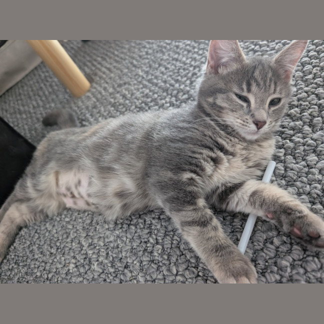 Photo of Smokin 🔥