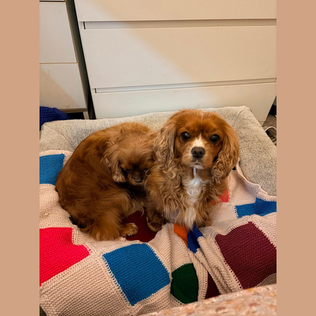 Photo of Tasha