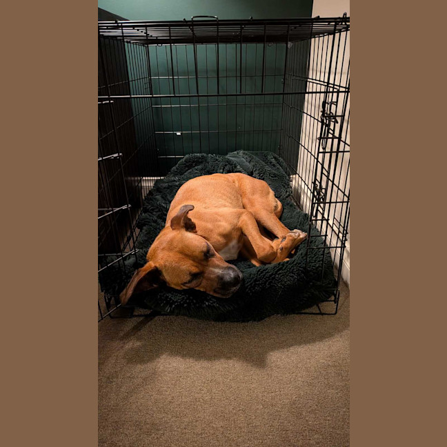 Photo of Athena