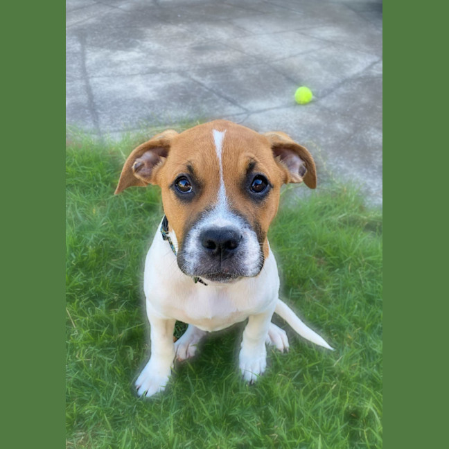 Photo of Freyja