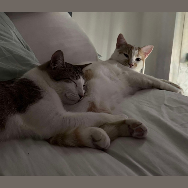 Photo of Tink & Bella 