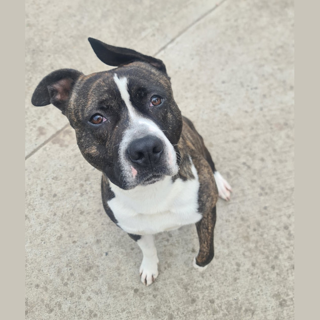 Photo of Ace Ventura 