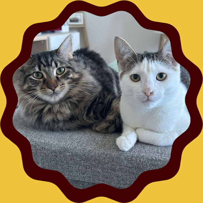 Photo of Shiraz & Cognac🍹