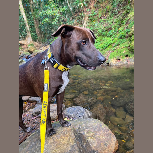 Photo of Bonnie