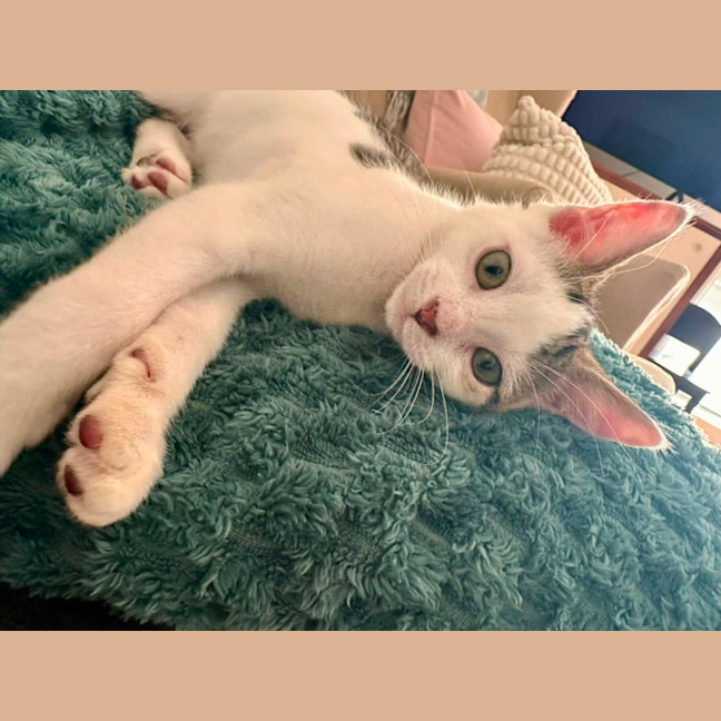 Photo of Major