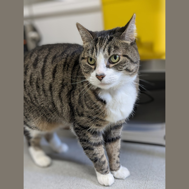 Photo of 💎 Princess 6520 💎