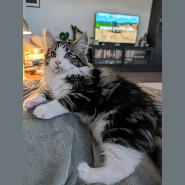 Photo of Charlie 