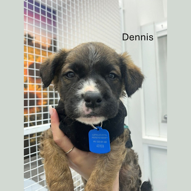 Photo of The Magnificent Seven!