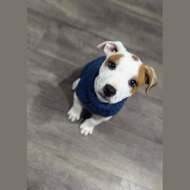 Photo of Solo