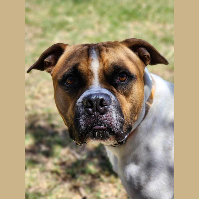 Photo of 🥯 Crumpet 5721 🥯