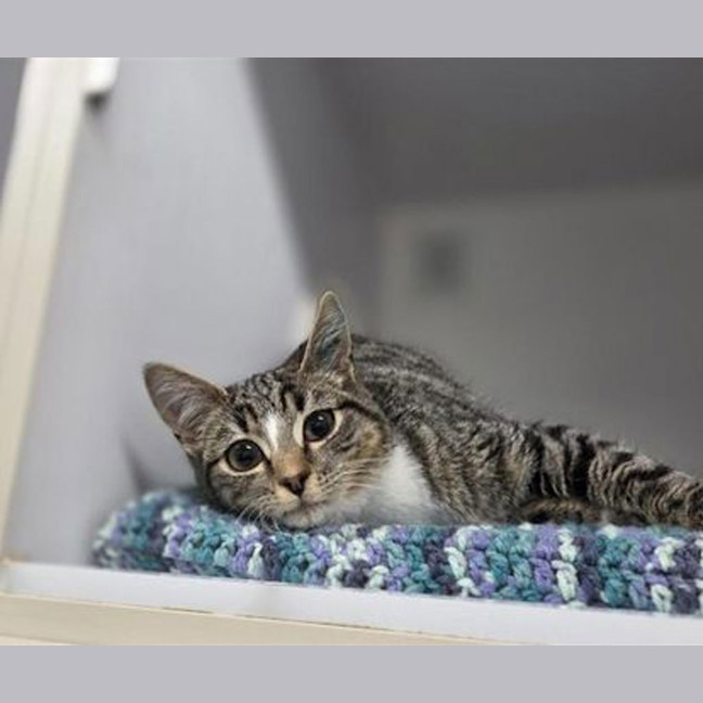 Photo of Fergus