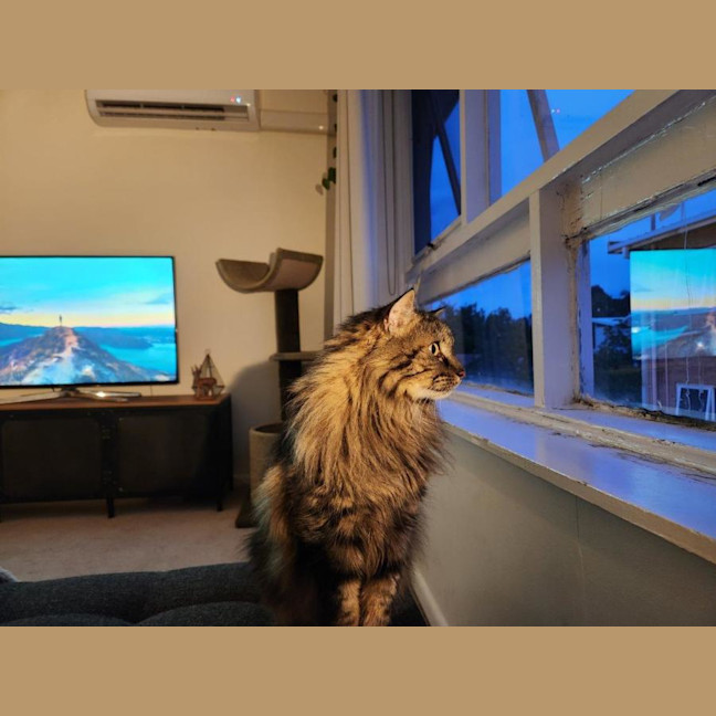 Photo of Molly Lozano