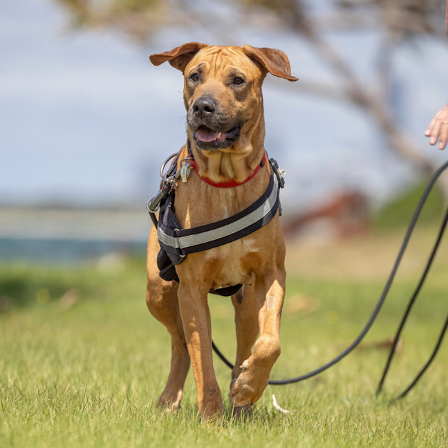 Photo of Dayna (Donya)