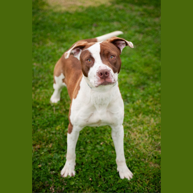 Photo of Bonnie