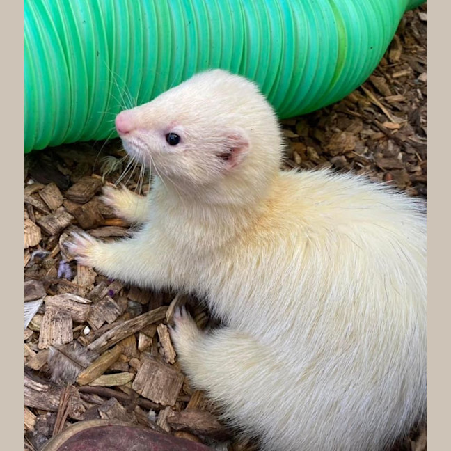 Photo of Jora & Theon