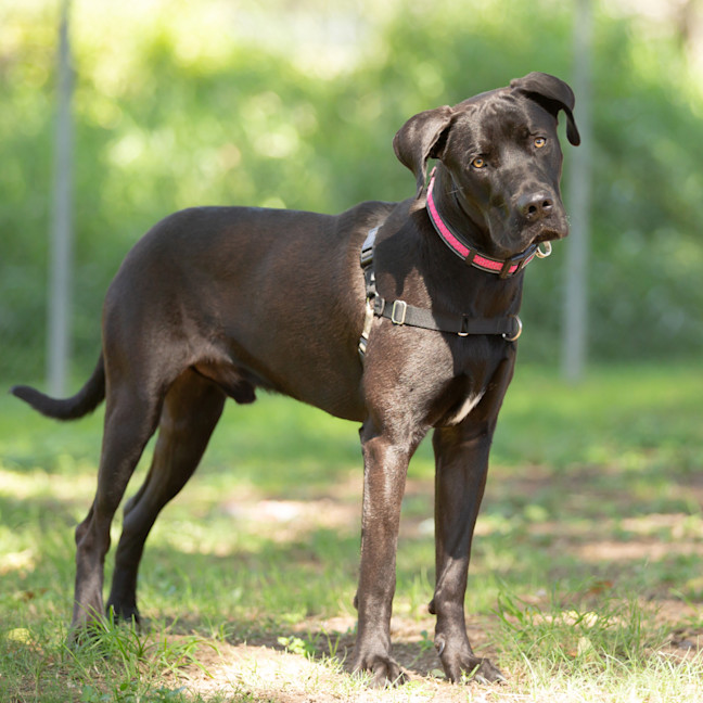 Photo of Zeus