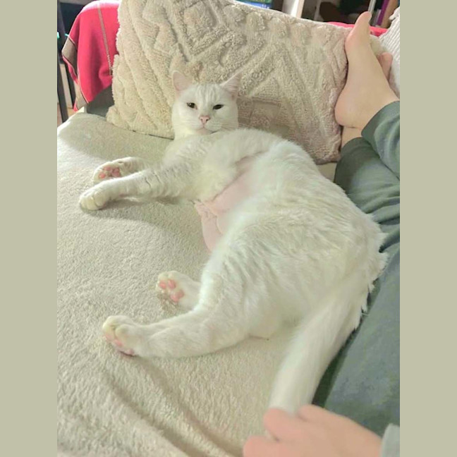 Photo of Billy 