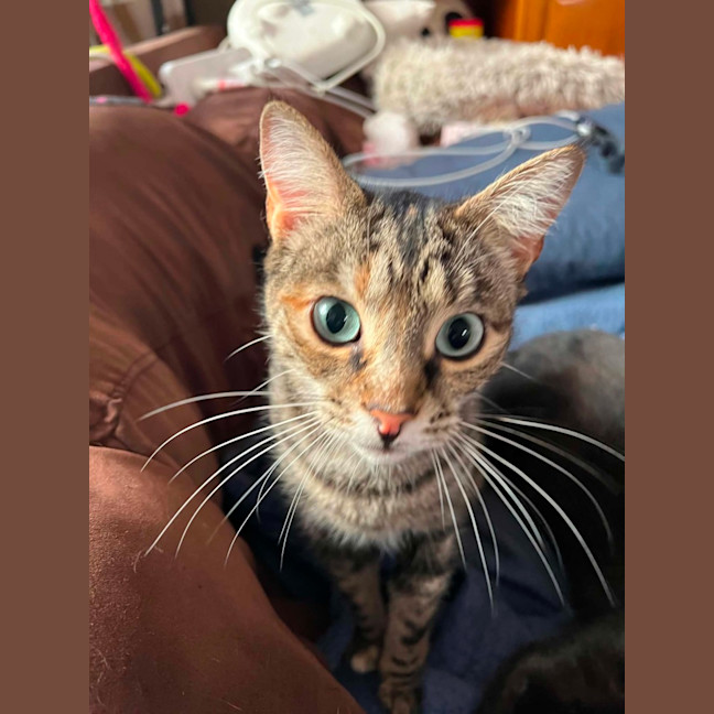 Photo of Aura