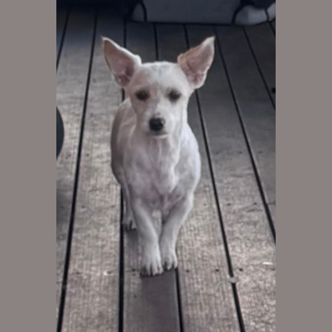 Photo of Wiley