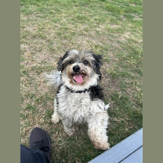 Photo of Libby & Jack