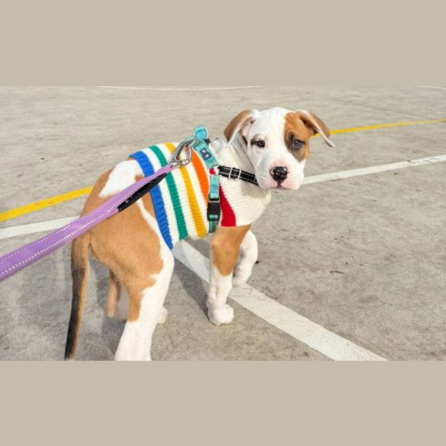 Photo of Benny