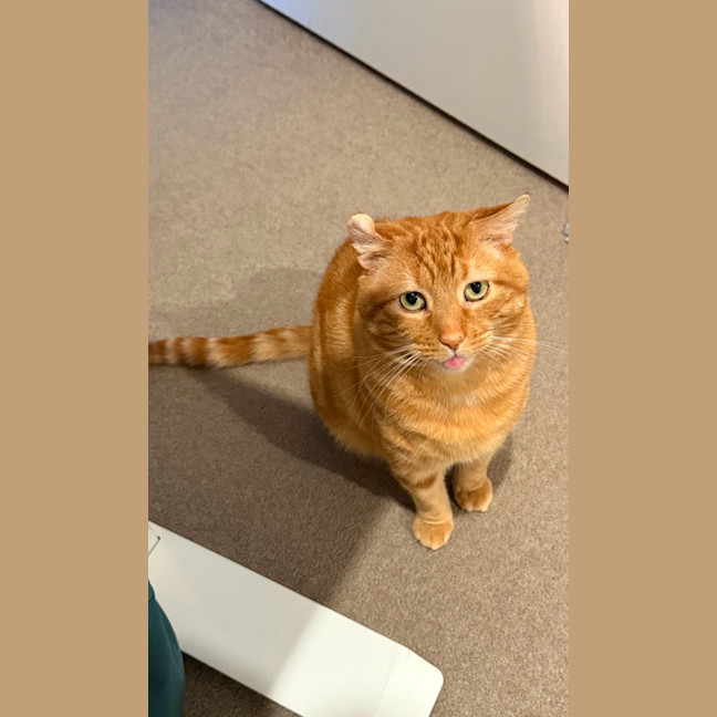 Photo of Bobby