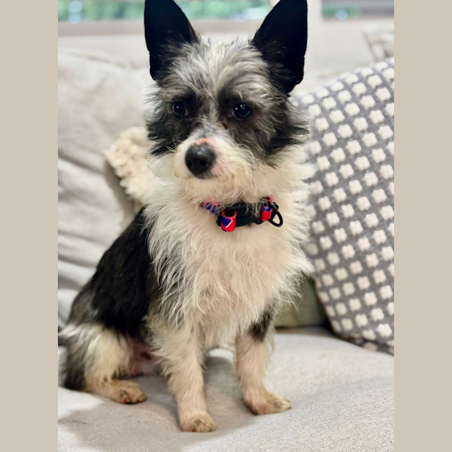 Photo of Bertie