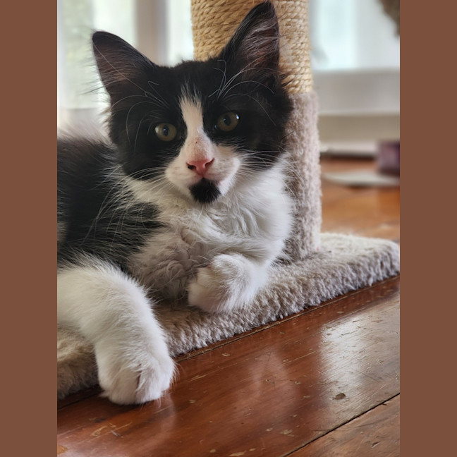 Photo of Theo