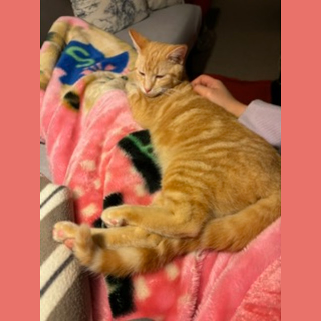 Photo of Prince Archie