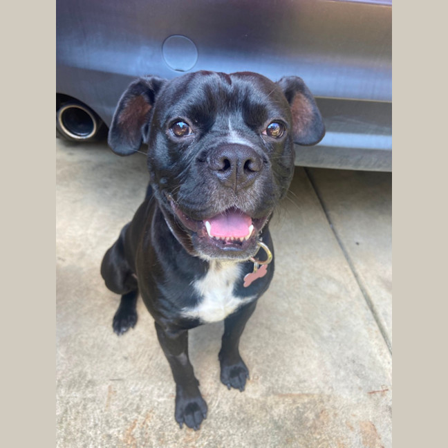 Photo of Buster ❤️