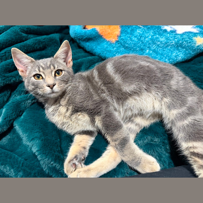 Photo of Morty