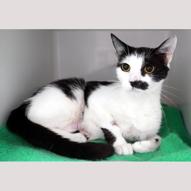 Photo of Layla Sta015087