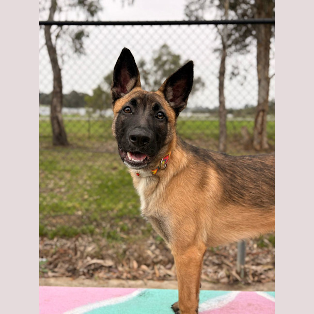 Photo of Delta