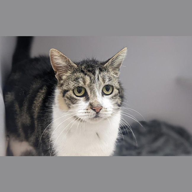 Photo of Charlotte