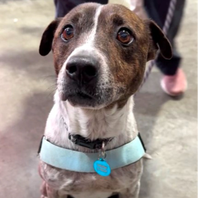 Photo of Pat In The Hat