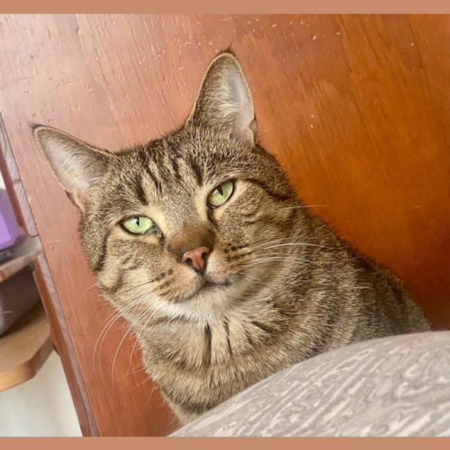 Photo of Baron