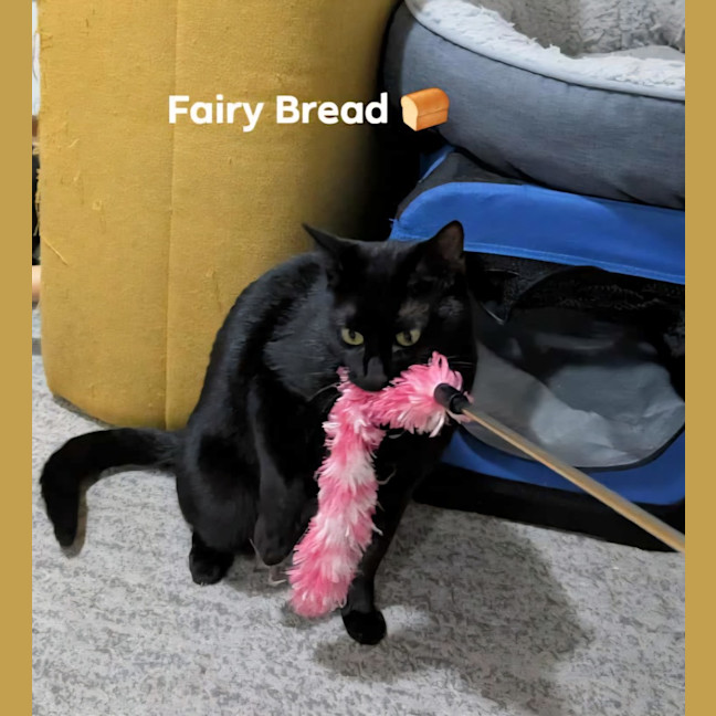 Photo of Fairy Bread