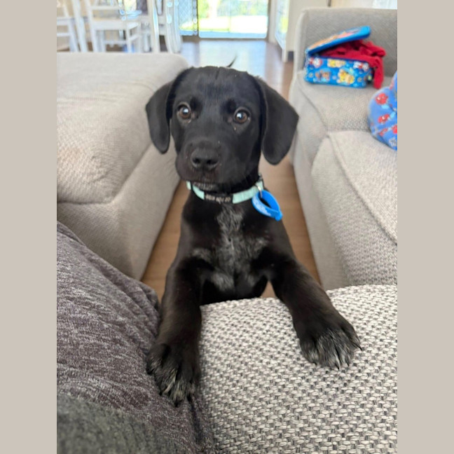 Photo of Tank