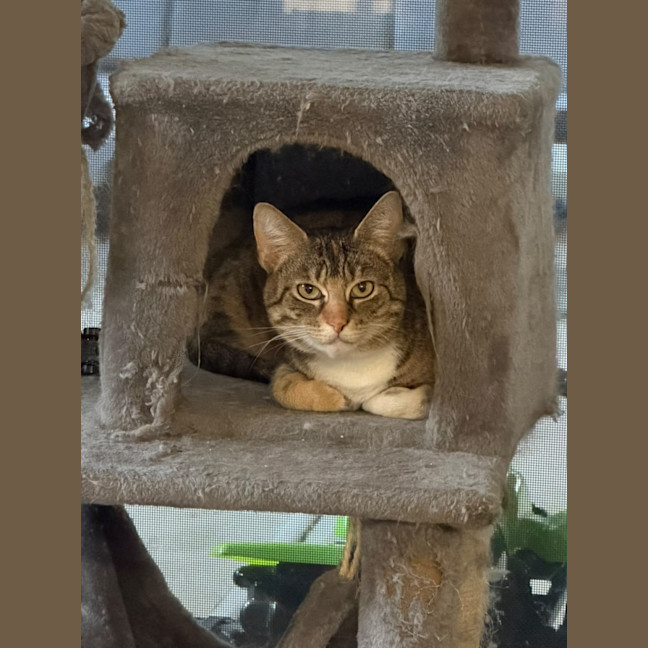 Photo of Bell