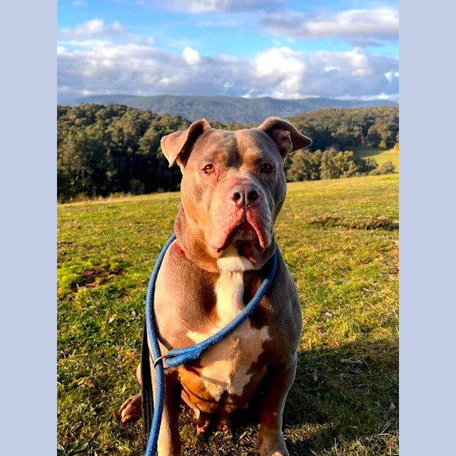 Photo of Storm