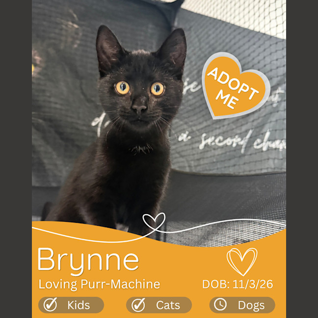 Photo of Brynne