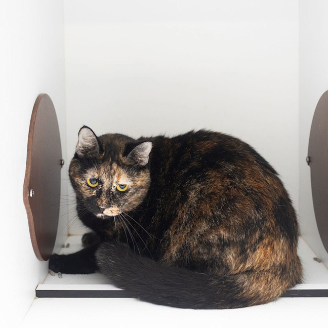 Photo of Li'l Miss Barry