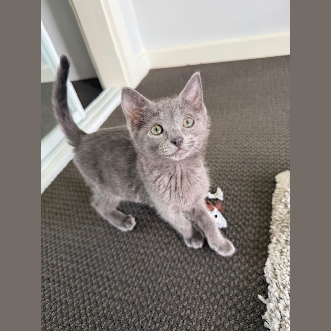 Photo of Harley & Harper