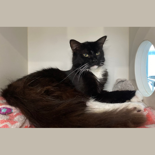 Photo of Gunter