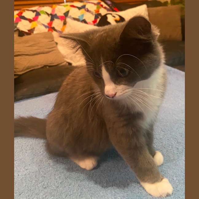 Photo of Teddy (Bear)