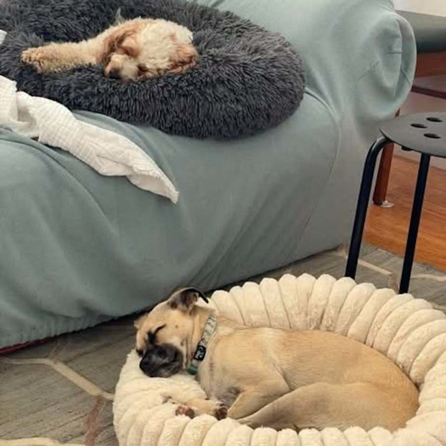 Photo of Coco