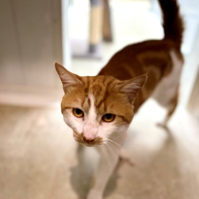 Photo of Arthur