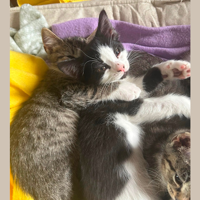 Photo of Olivia Benson & Elliot 