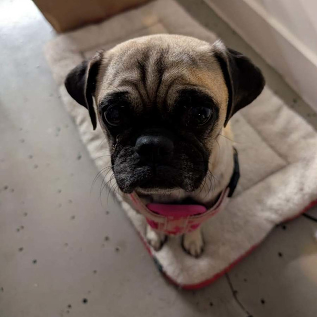 Photo of Missy