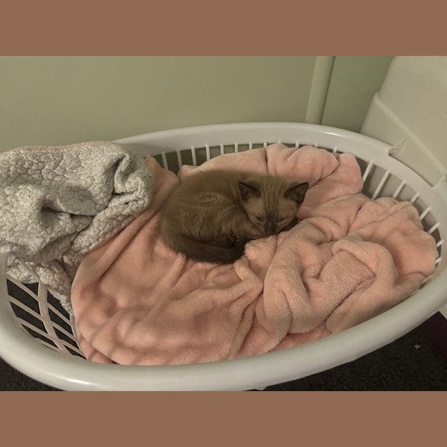 Photo of Mia